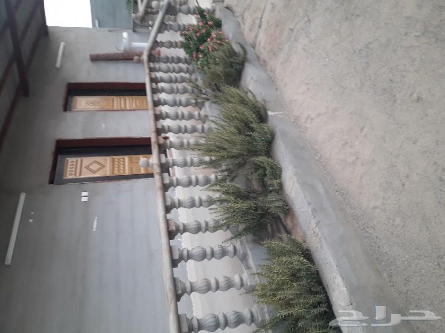 مزرعة واستراحة