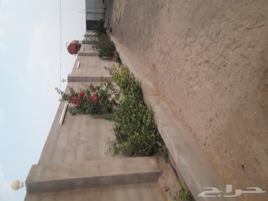 مزرعة واستراحة