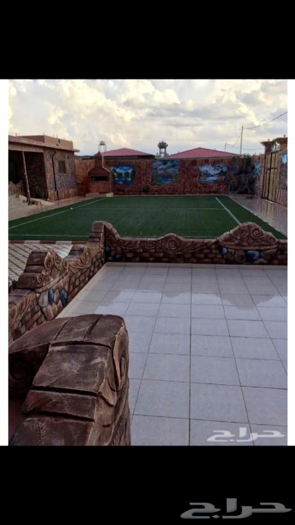 استراحة الفيصل للإيجار 0503043470