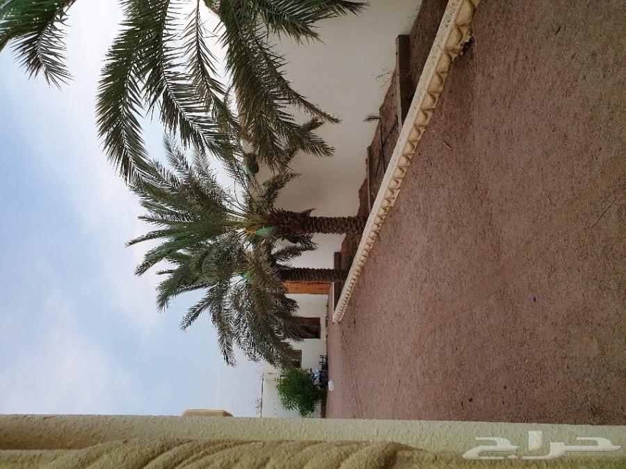 عقار عشيره.