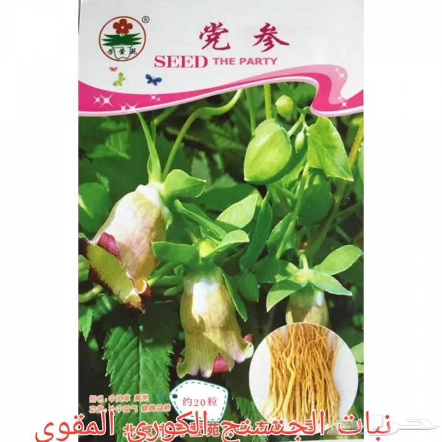 بذور شاهي وبذور منوعه