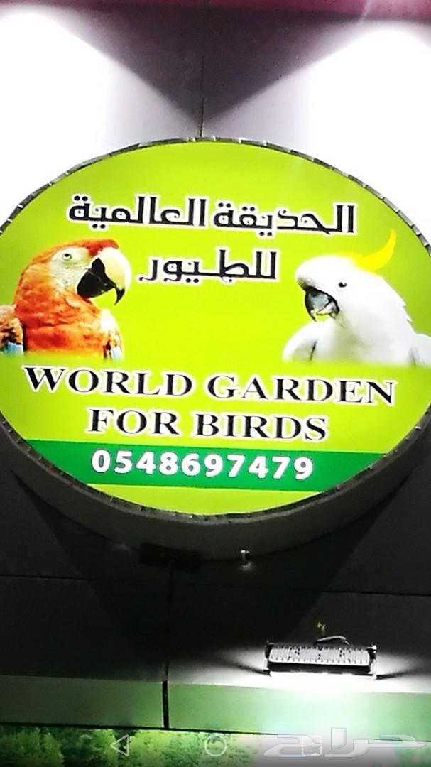 لعشاق الولافة والهددد فرخ كروان.روز.كنيور