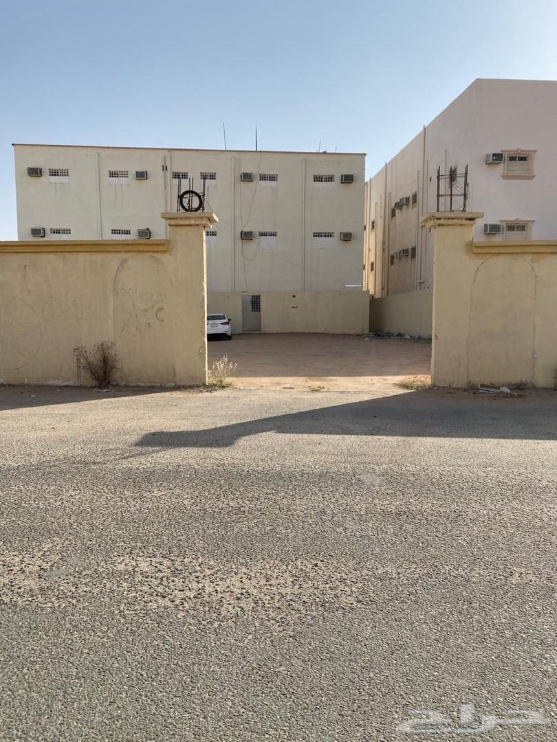 عمارة تجاريه للاجار