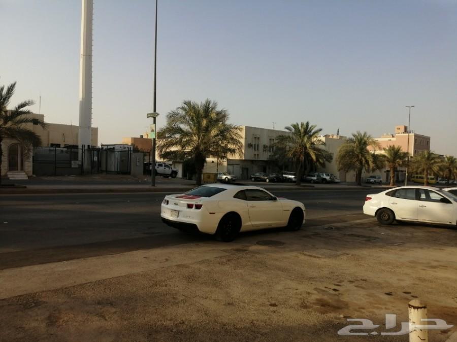 كمارو 2013 camaro ss لوحة مميزة