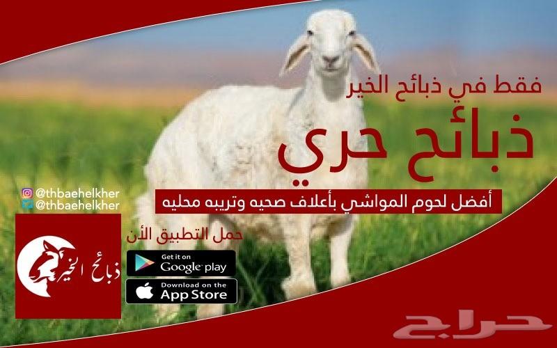 الان تطبيق ذبايح في جده تربيه مع الضمان