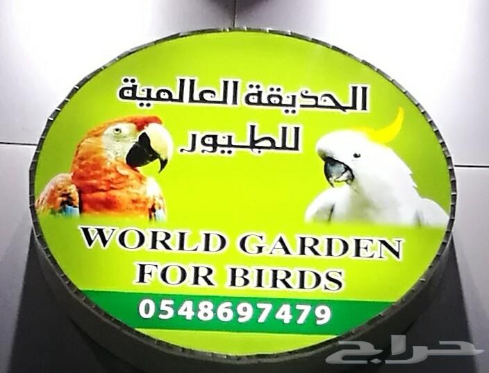 لعشاق الهدد ولافة فرخ كروان.روز.كنيور