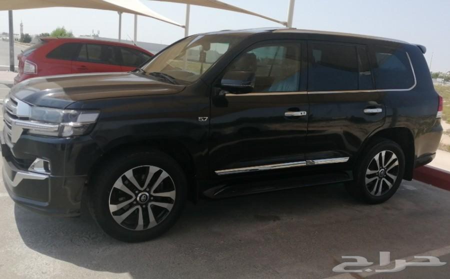 الاسود الملكي VXS 2019