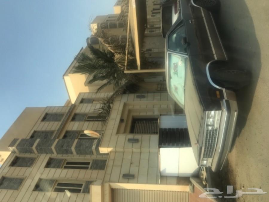جمس كاباليرو - شفروليه الكامينو 1983 Elcamino