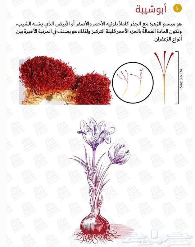 زعفران إيراني سوبر نقين فاخر