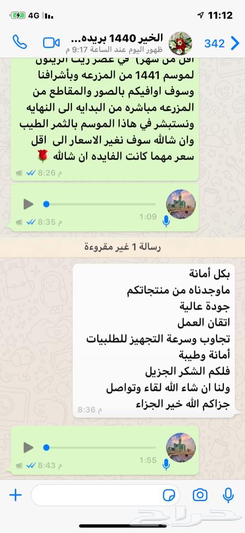 زيت زيتون الجوف خلال سبوعين لجديد طالع التقيم
