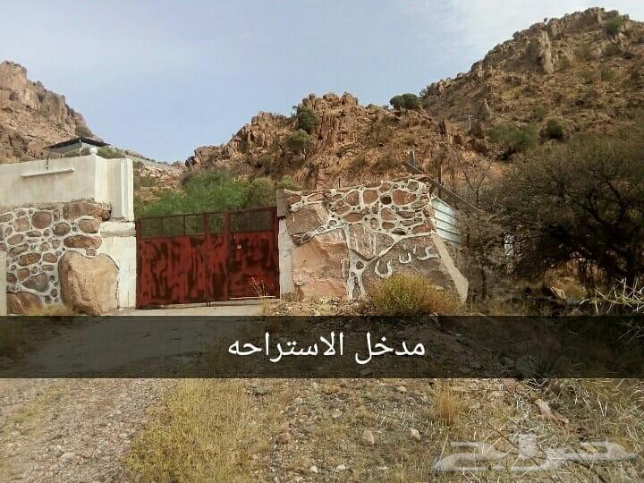 استراحة للبيع