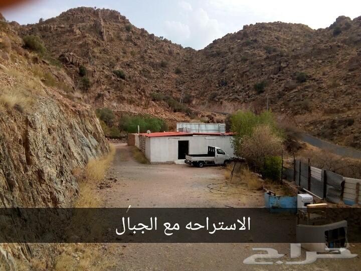 استراحة للبيع