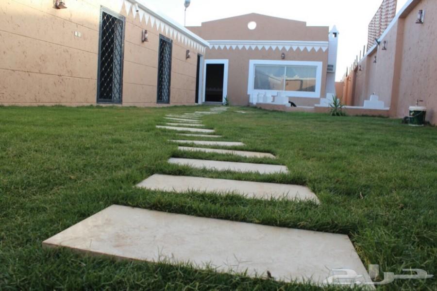 منتجع الأفنيوز ( الطايف _ الحويه )
