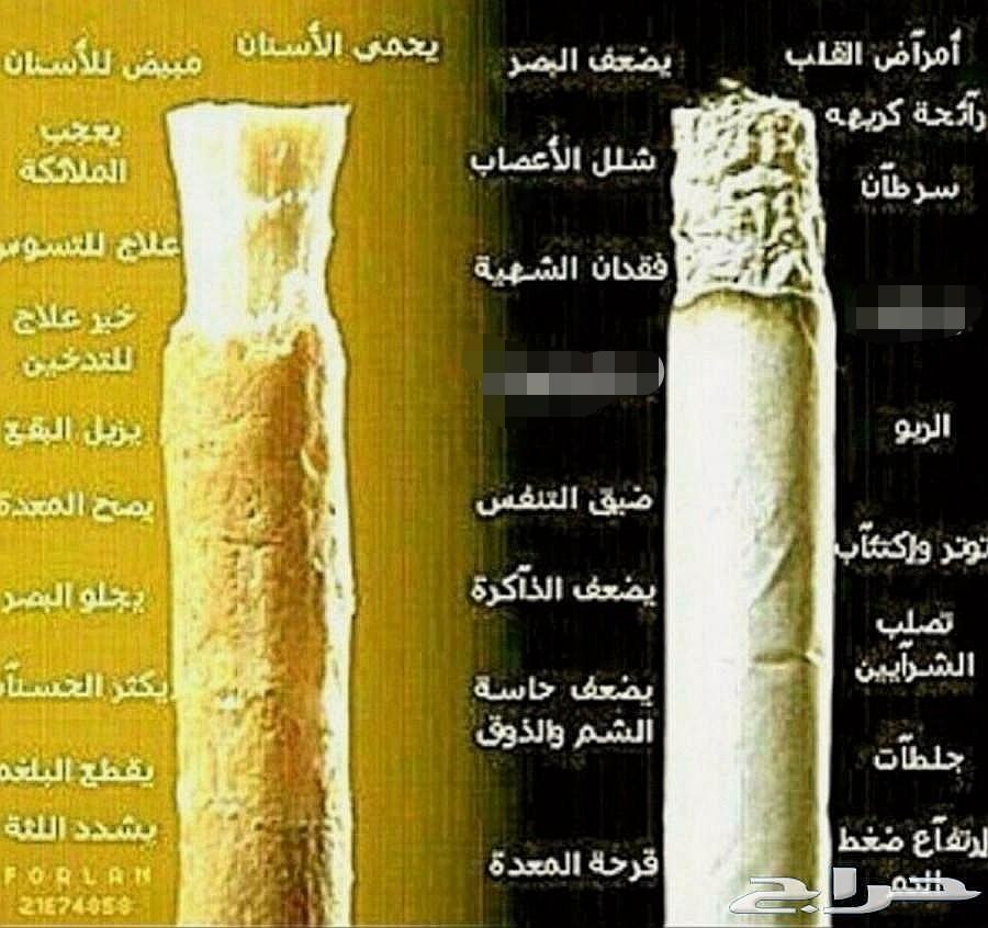 متجر مسواكنا. سنة حبيبنا. مساويك جازان