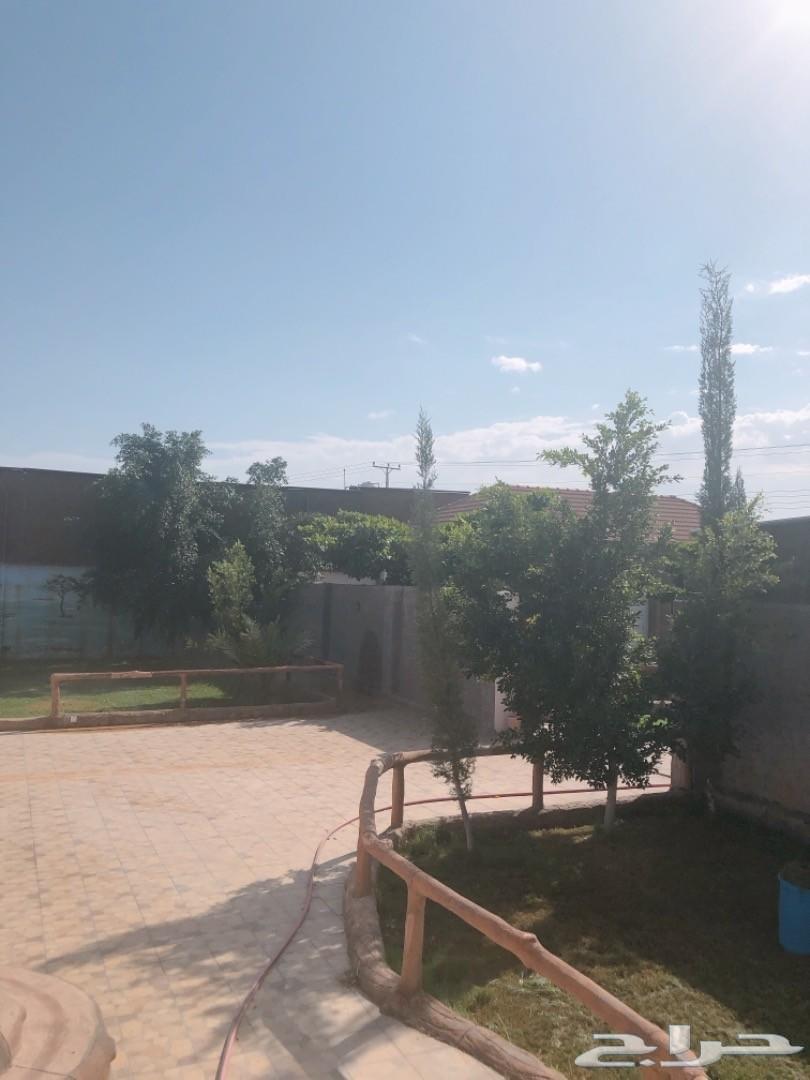 استراحة السحاب للايجار اليومي