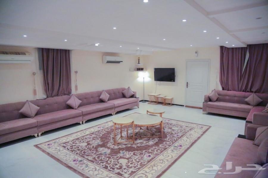 عرض الصيف لاستراحة اضواء