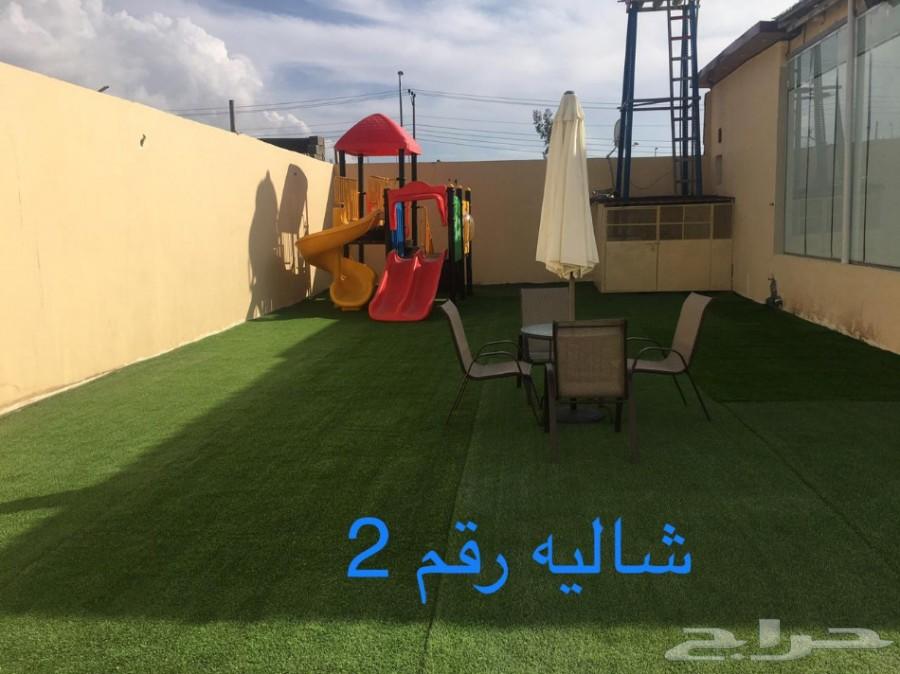 شاليه واستراحة توت للايجار اليومي