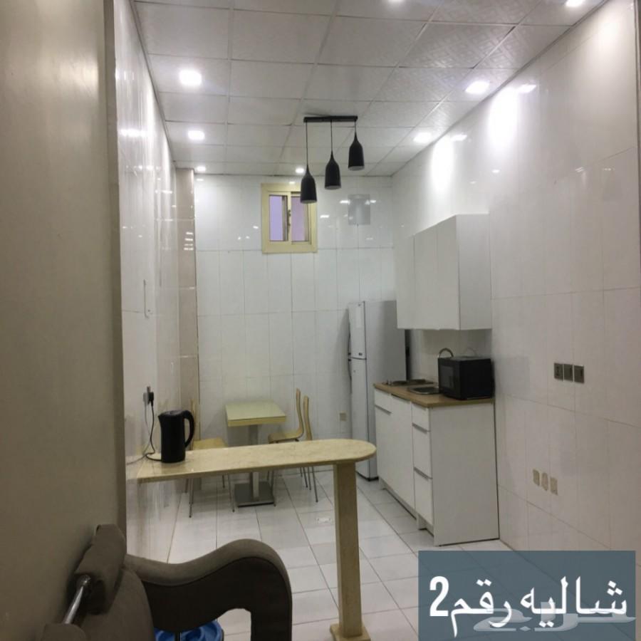 شاليه واستراحة توت للايجار اليومي