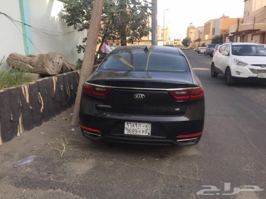 كادينزا 2019للتقبيل