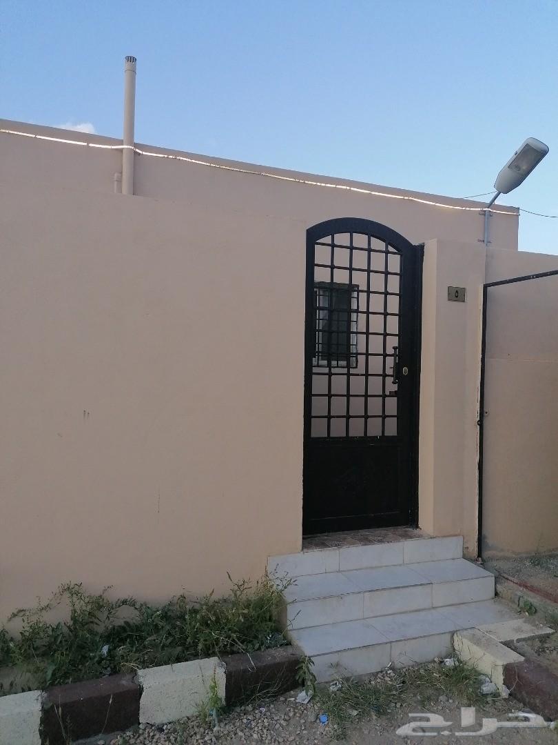 مجمع عزاب كامل بابها للايجار
