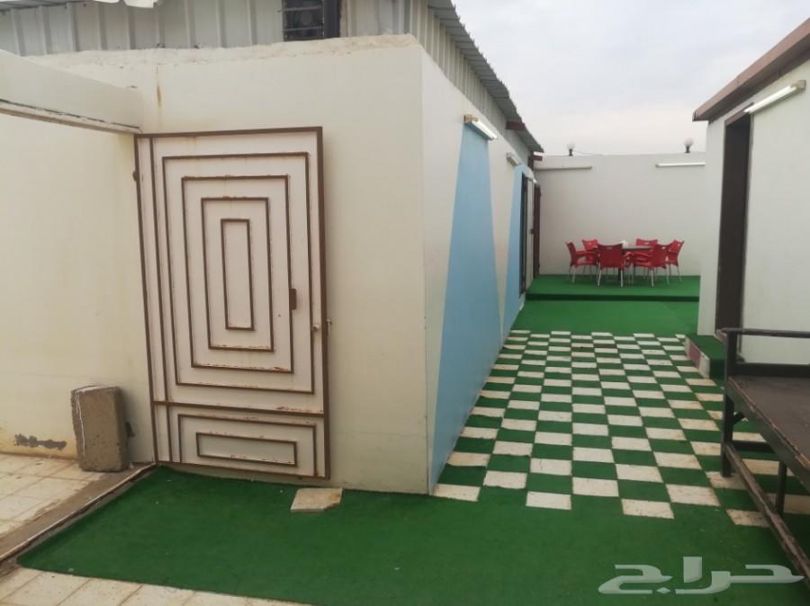 استراحة للإيجار اليومي