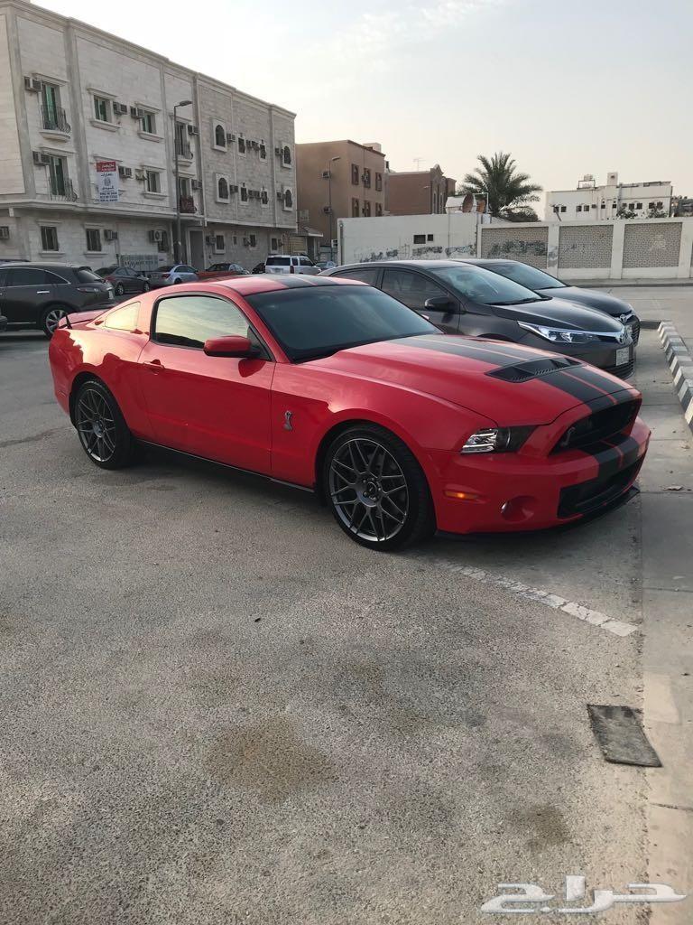 موستنج شلبي 2011 svt