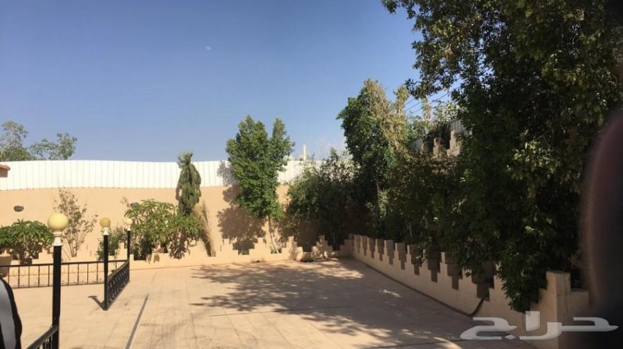 استراحه بعرض مميز