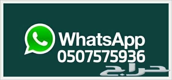 طيس _كابرس _صيني _80 _90