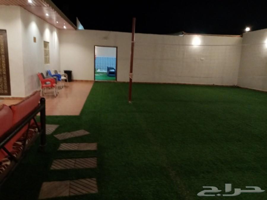 استراحه للايجار اليومي
