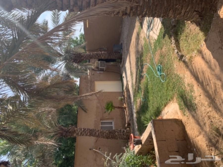 استراحه عزاب للايجار حي الشفا