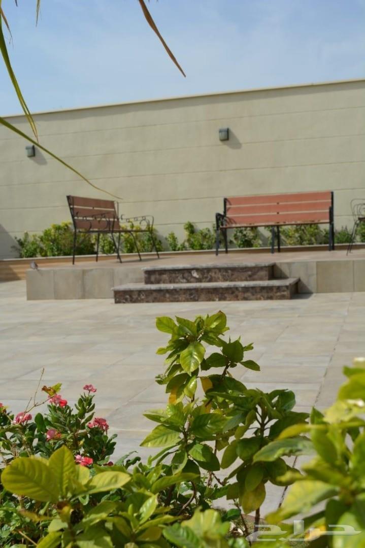 أستراحة روين VIP راقية بجدة ((للفخامه عنوان)