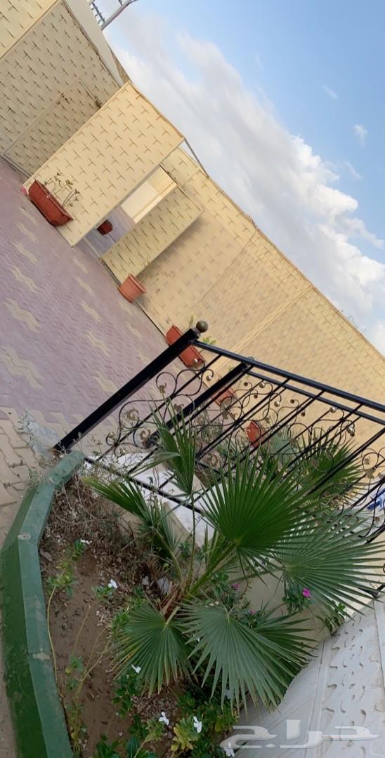 عرض استراحة بملعب صابوني وزحليقة ومسبح