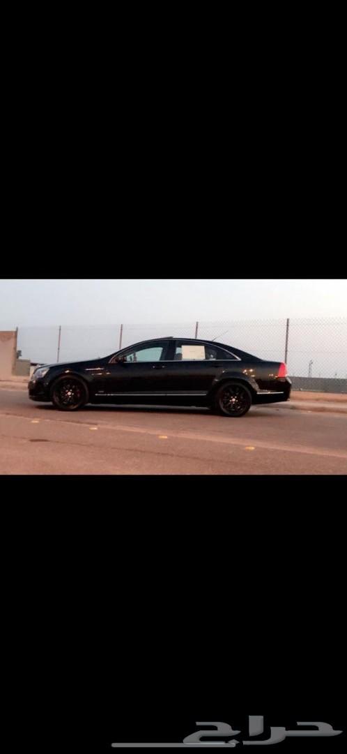 كابريس 2013رويال