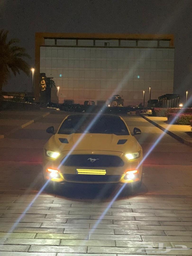 موستنج 2015 GT للبيع