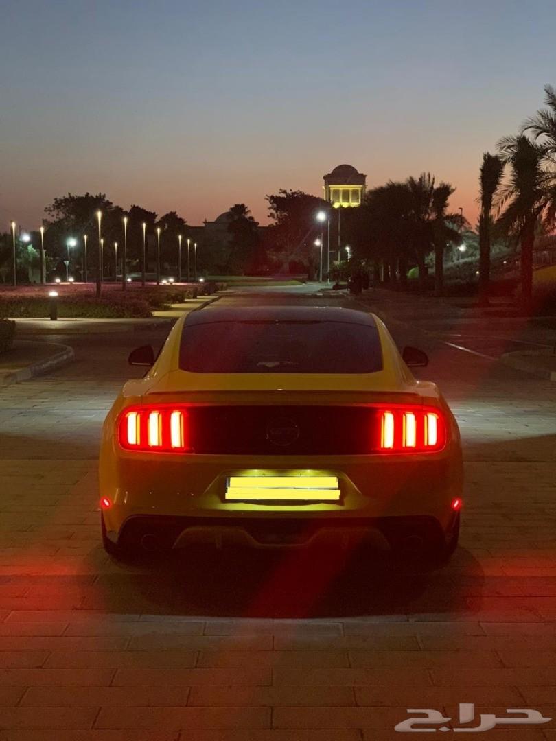 موستنج 2015 GT للبيع