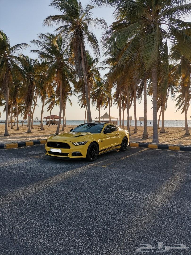 موستنج 2015 GT للبيع