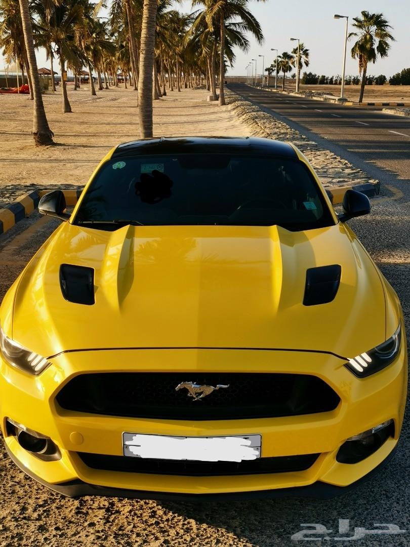 موستنج 2015 GT للبيع