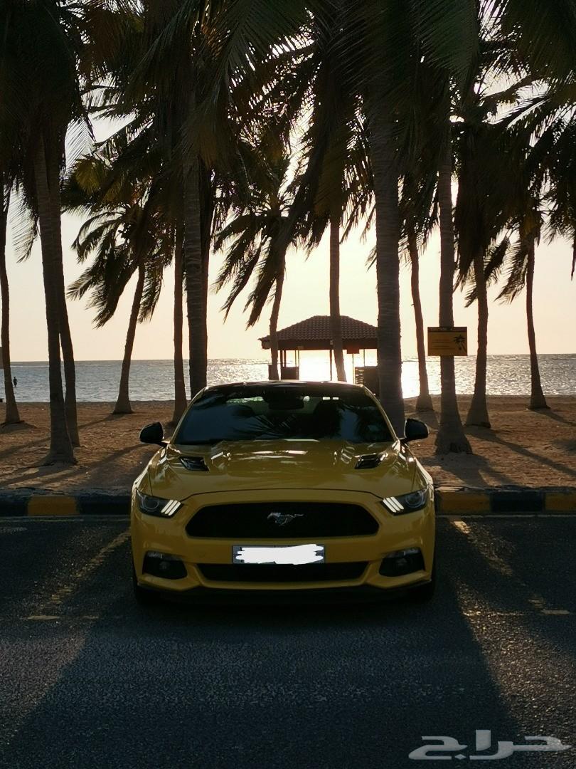 موستنج 2015 GT للبيع