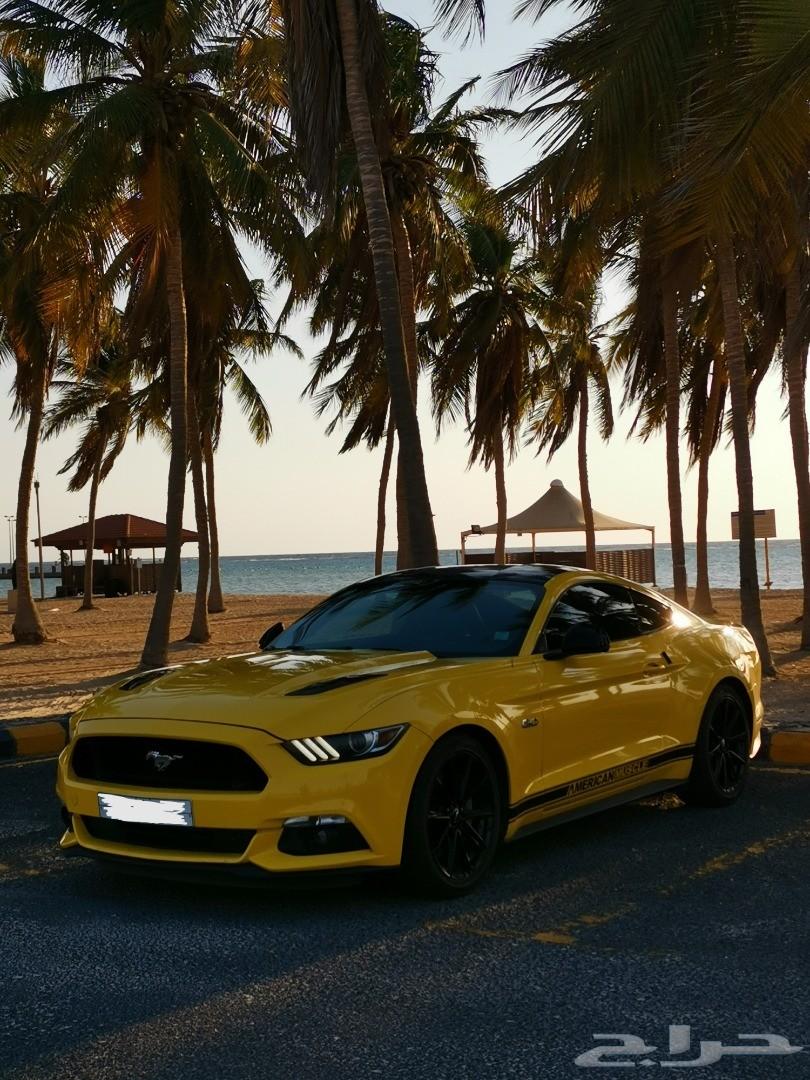 موستنج 2015 GT للبيع