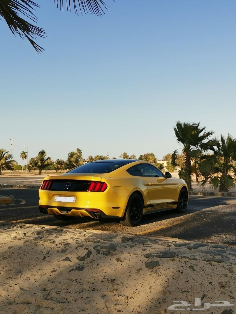 موستنج 2015 GT للبيع