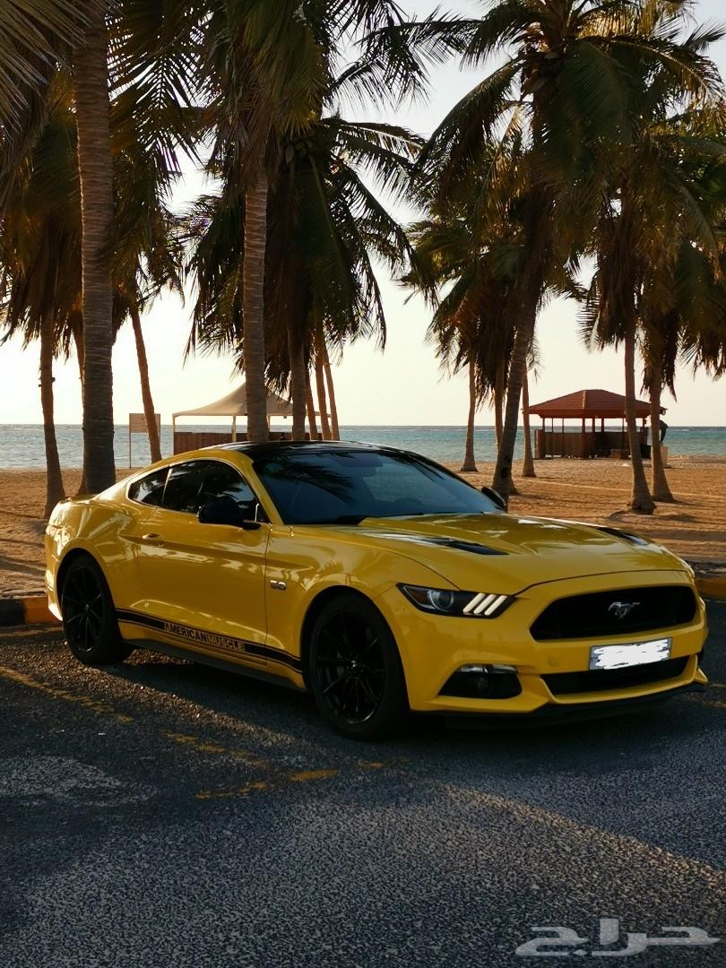 موستنج 2015 GT للبيع