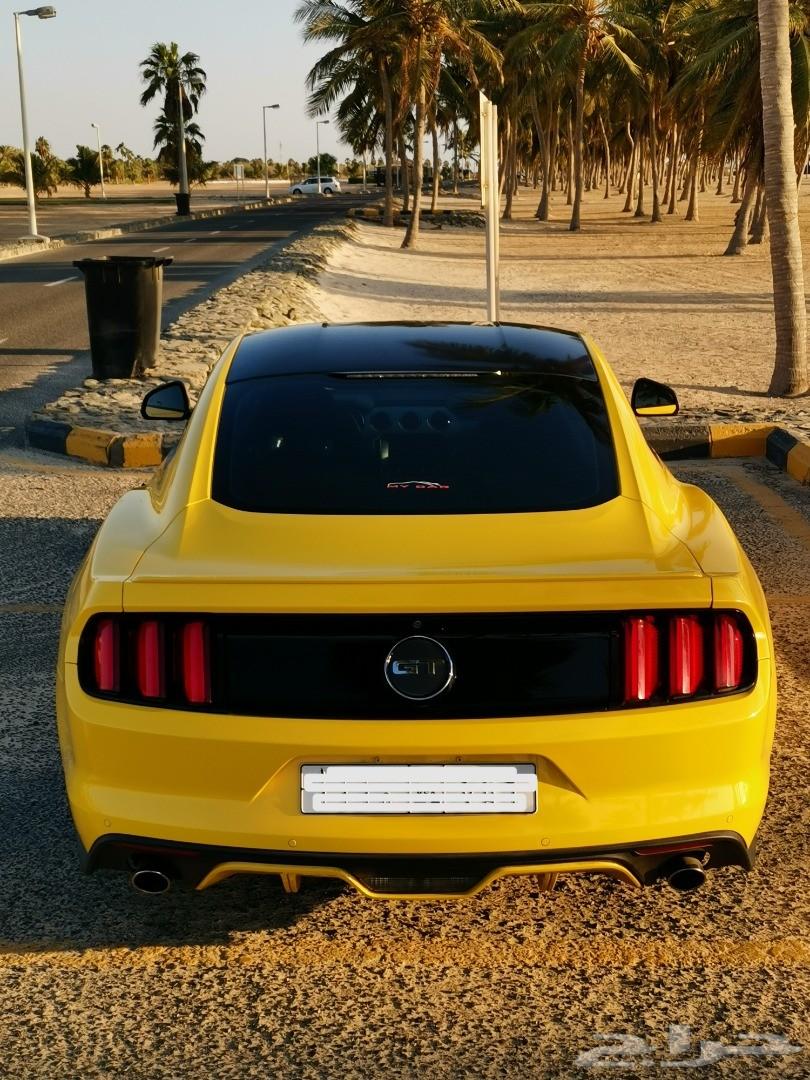 موستنج 2015 GT للبيع