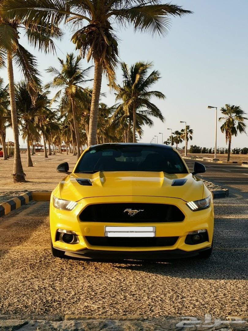 موستنج 2015 GT للبيع