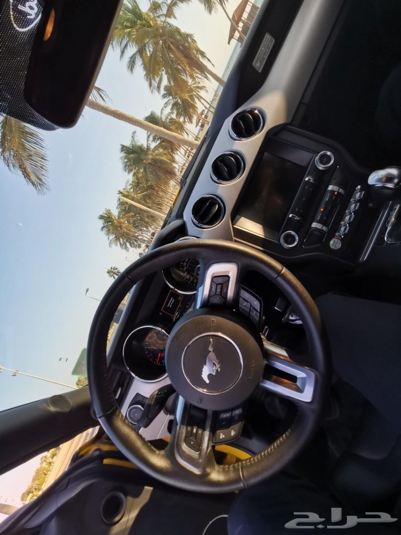 موستنج 2015 GT للبيع