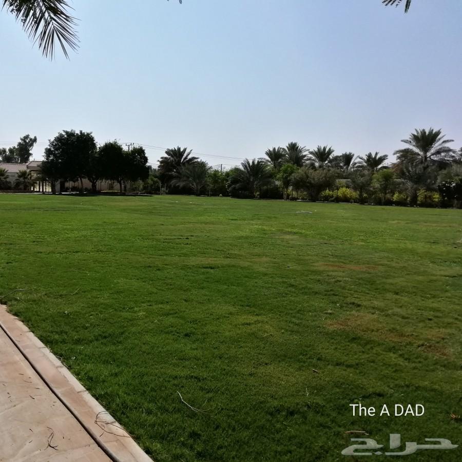 استراحة للايجار كبيره حي الرمال
