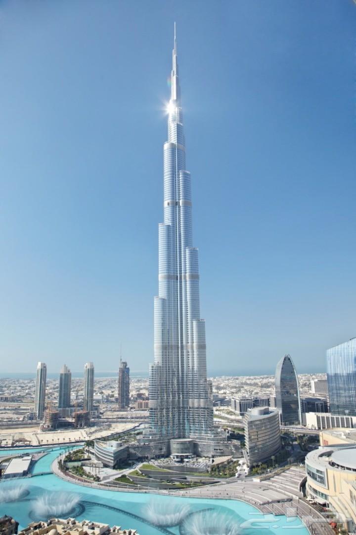 خدمات عامة في الامارات