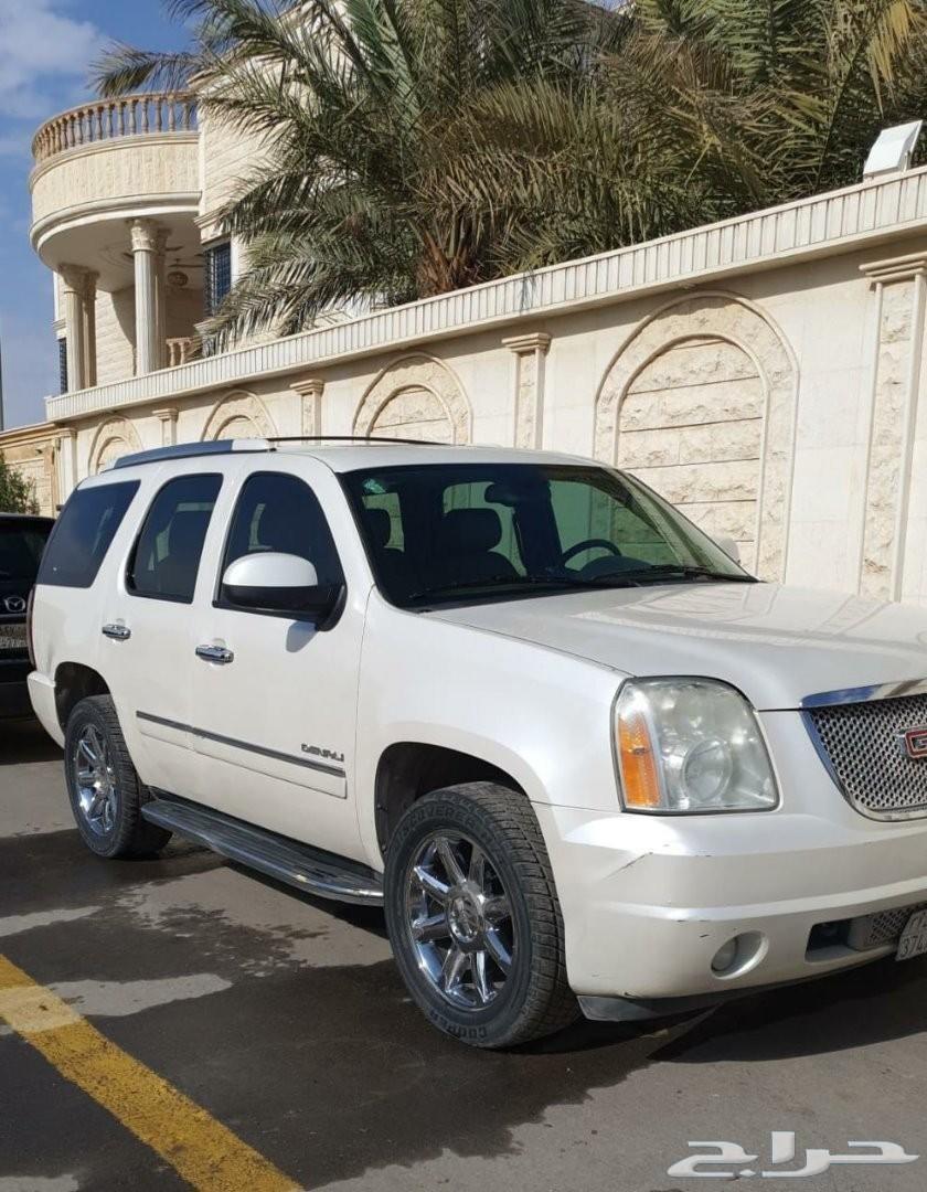 يوكن دنالي 2011