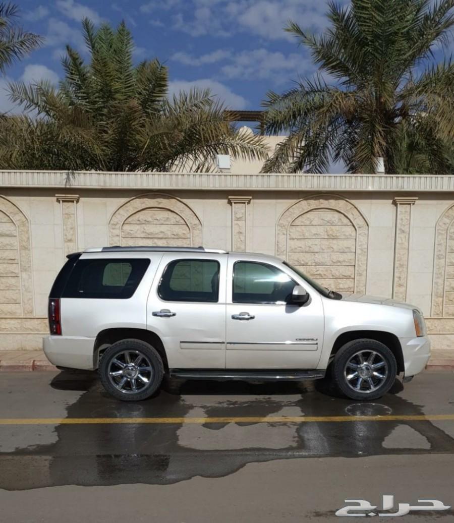يوكن دنالي 2011