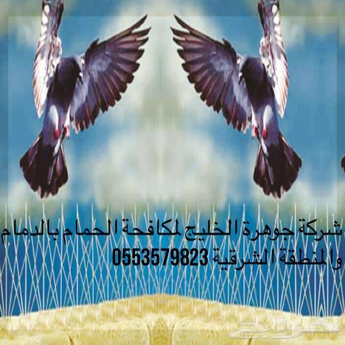 شركة مكافحة حمام تركيب طارد حمام مكافحة حشرات