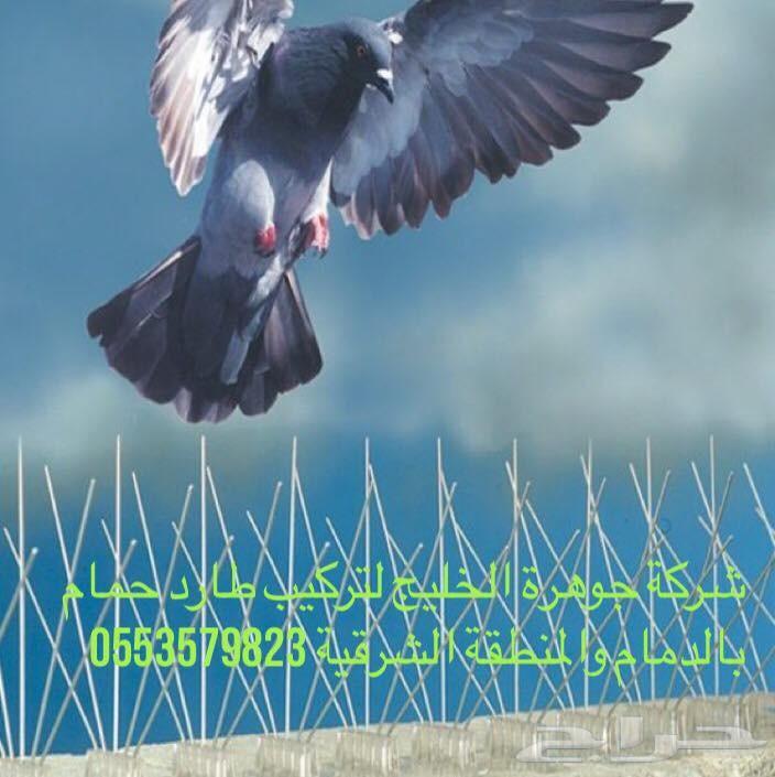 شركة مكافحة حمام تركيب طارد حمام مكافحة حشرات